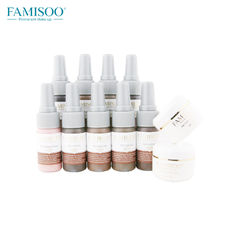 van de de Make-upuitrusting van 15ml/Bottle Famisoo het Permanente Vloeibare Pigment dat voor Wenkbrauw wordt geplaatst