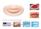 De Praktijkhuid van de silicone Duurzame Permanente Make-up voor Lippen die 4D-Module opleiden