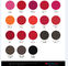 Kleuren Positieve Micro- Pigmentinkt voor Lippen/Wenkbrauw/Eyeliner 19 Facultatieve Kleuren